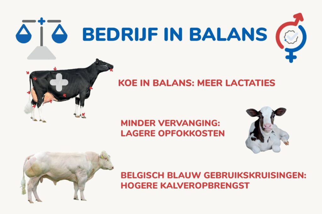 Bedrijf in balans