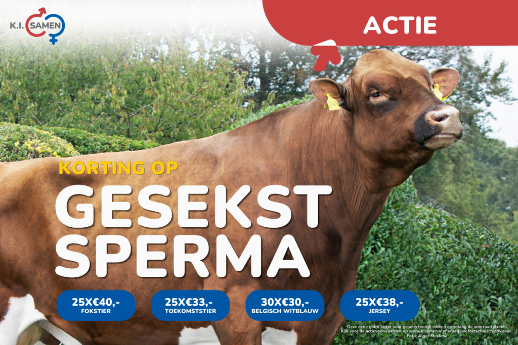 Actie gesekst sperma