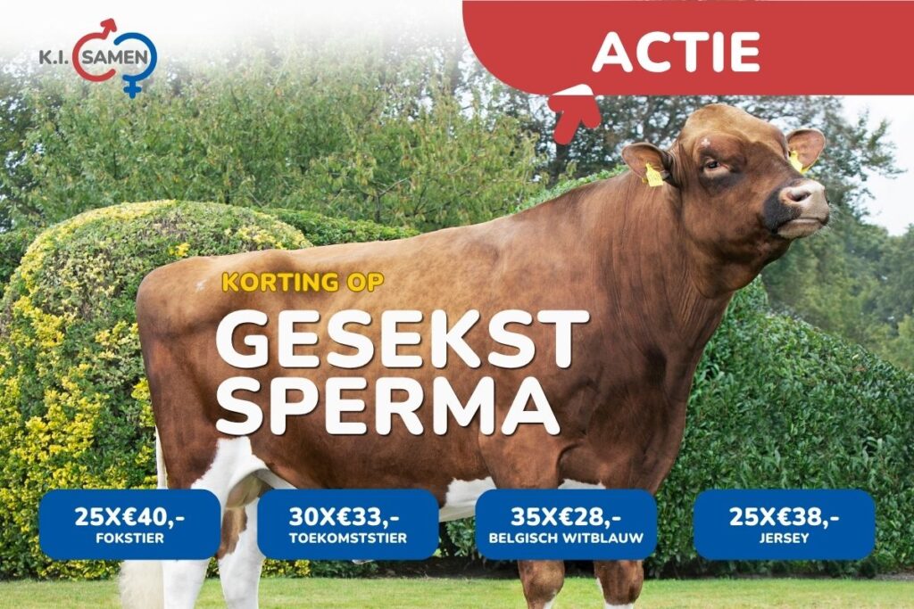 Actie gesekst sperma NL