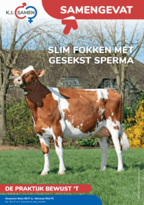 Cover Samengevat Sept 2025