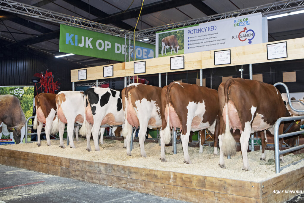 Dochtergroep Drouner Potency Red - RMV Hardenberg 2025.
